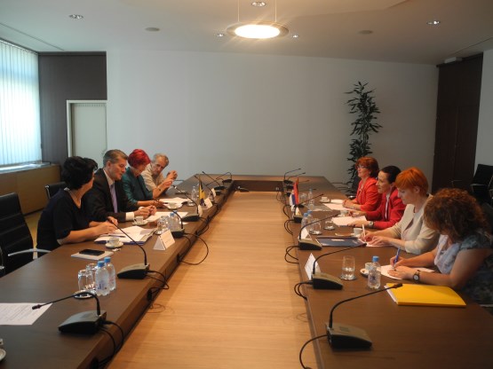 Members of Committee on Foreign Trade and Customs of House of Representatives of PABiH talked with members of Delegation of Committee on Economy, Regional Development, Trade, Tourism and Energy of National Assembly of Serbia