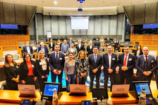 Poslanik u Predstavničkom domu PSBiH Saša Magazinović govorio u Evropskom parlamentu