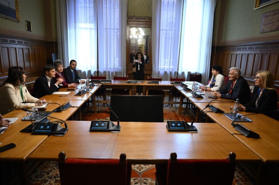 Predsjedavajući Doma naroda PSBiH dr. Nikola Špirić sastao se u Budimpešti sa predsjednicom Narodne skupštine Republike Srbije Anom Brnabić