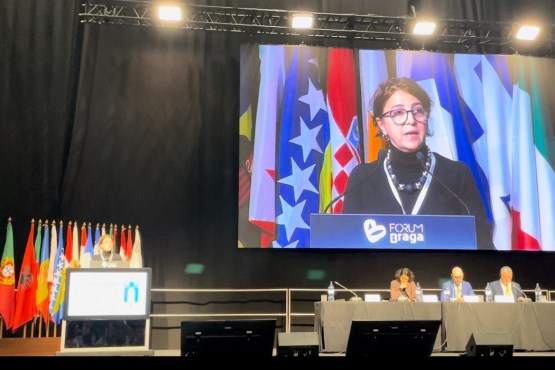 Predsjedavajuća Delegacije PSBiH u PAM Rejhana Dervišević predstavila izvještaj o globalnim ekonomskim perspektivama i budućnosti euro – mediteranskog i zalivskog regiona