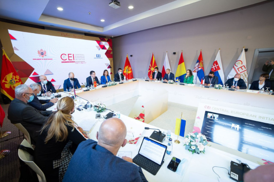 Predsjedavajući Delegacije PSBiH u PS CEI Lazar Prodanović učestvovao u online formatu na zasjedanju PS CEI